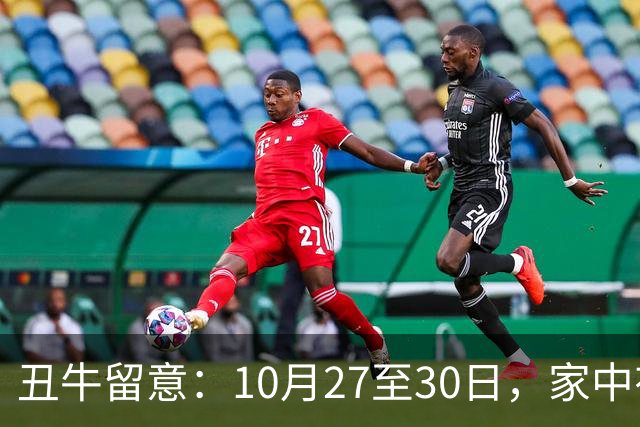 丑牛留意：10月27至30日，家中有喜讯，挡不住