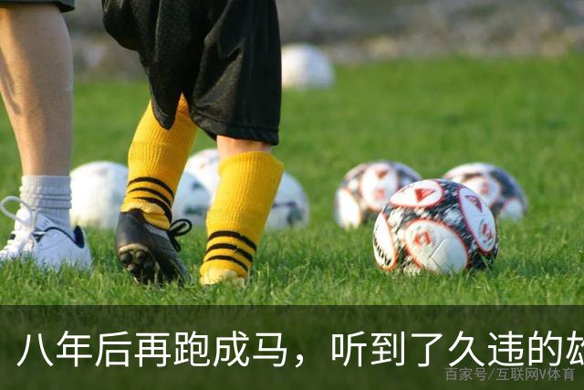 八年后再跑成马，听到了久违的雄起声
