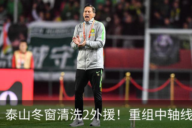 泰山冬窗清洗2外援！重组中轴线，唐田让位，明年要来德国主帅？